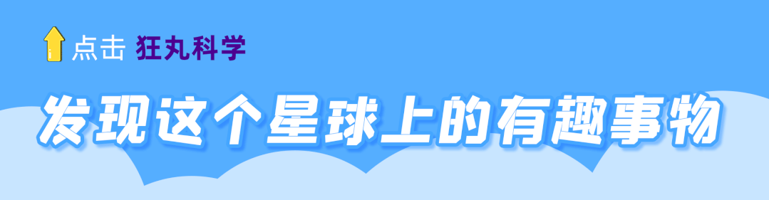 有多少人买计算器是为了玩游戏? | 星尘资源网