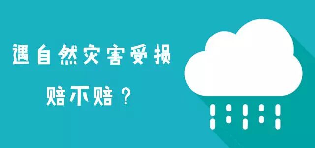 商业车险改革 新车险条款 车辆损失赔偿_车险
