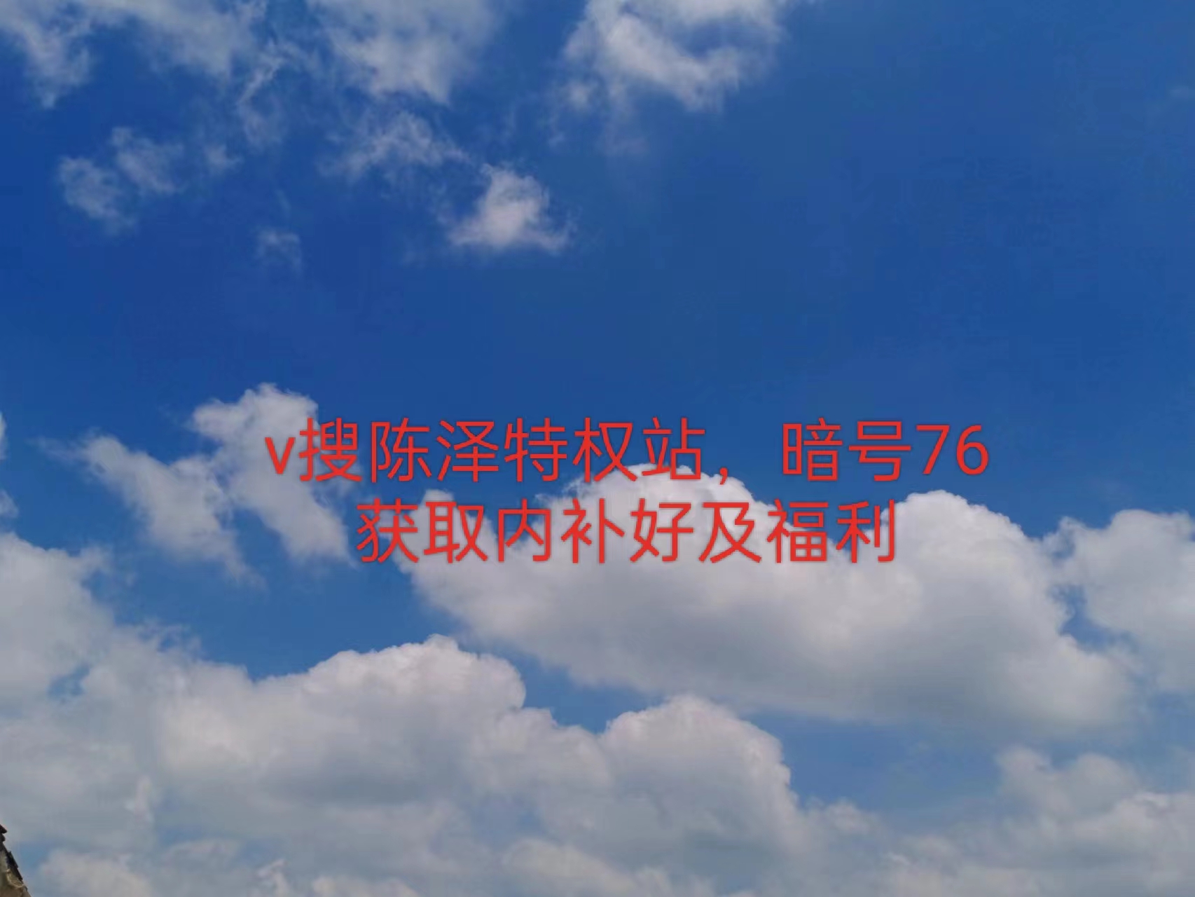 崩坏星穹铁道玲可阵容配队攻略_崩坏星穹铁道配队_崩坏星穹铁道内部号福利