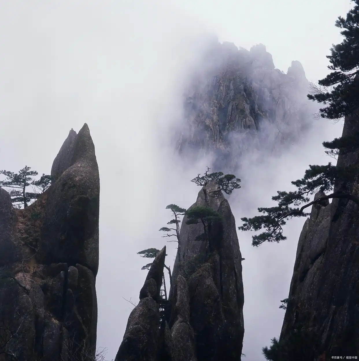 旅游去哪里最好玩 | 星尘资源网