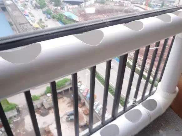 种菜PVC管_阳台种菜技巧_阳台种菜教程