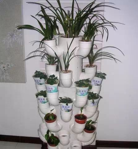 阳台种菜技巧_种菜PVC管_阳台种菜教程