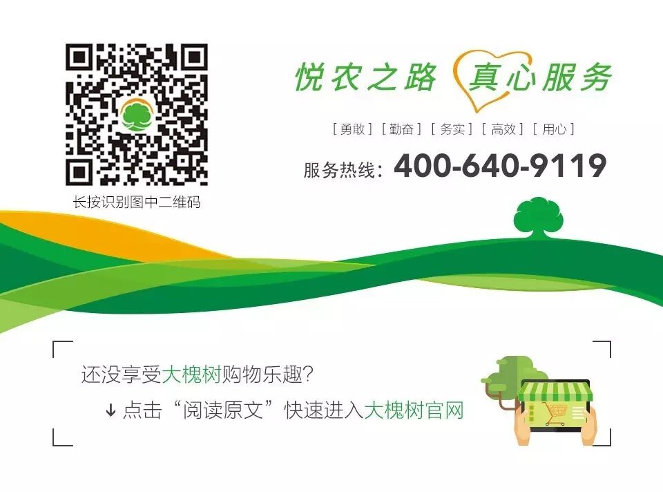 夏季大米储存技巧_大米防潮隔热方法_大米保存防蛀技巧