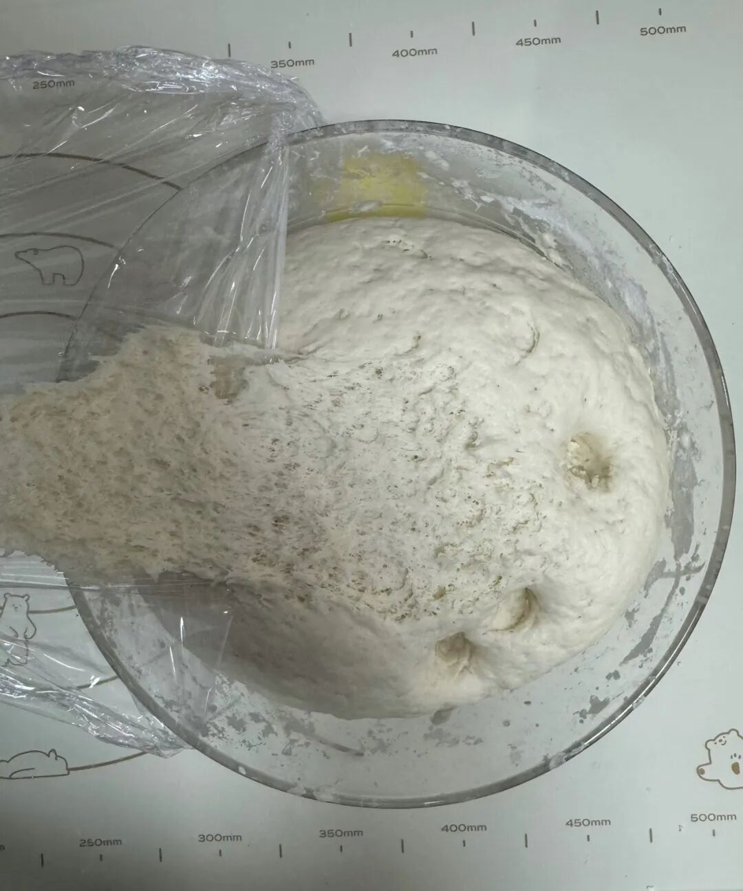 蒸馒头发面教程_波兰种发面法_馒头发酵技巧