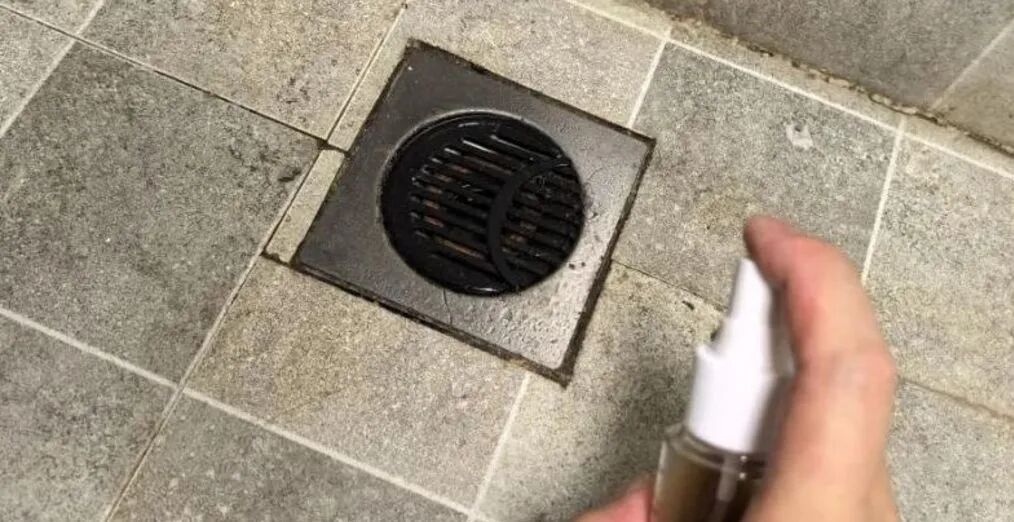白醋加藿香正气水，没想到作用太厉害了，解决家中的大烦恼，简单又实用！ | 星尘资源网