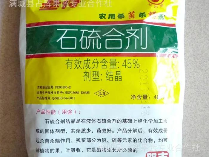 月季防病诀窍_月季病虫害防治_春季月季防蚜虫