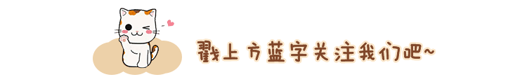 养吊兰掌握这几个技巧,盆栽就能轻松长满盆 | 星尘资源网