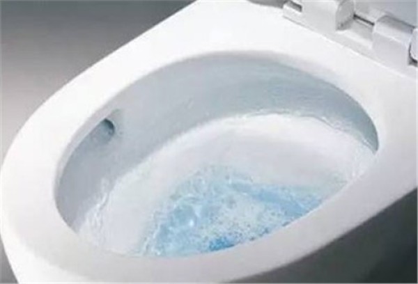 马桶节水改造_巧用塑料瓶_马桶节水