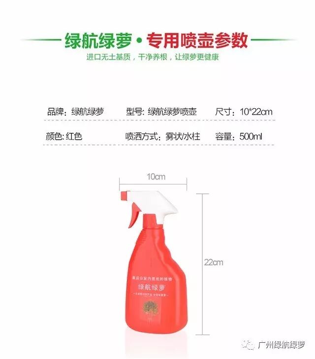 绿航绿萝浇水方式_绿萝浇水频率_绿航绿萝浇水技巧