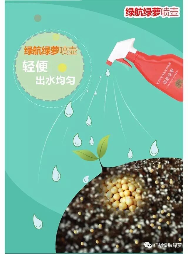 绿航绿萝浇水方式_绿航绿萝浇水技巧_绿萝浇水频率