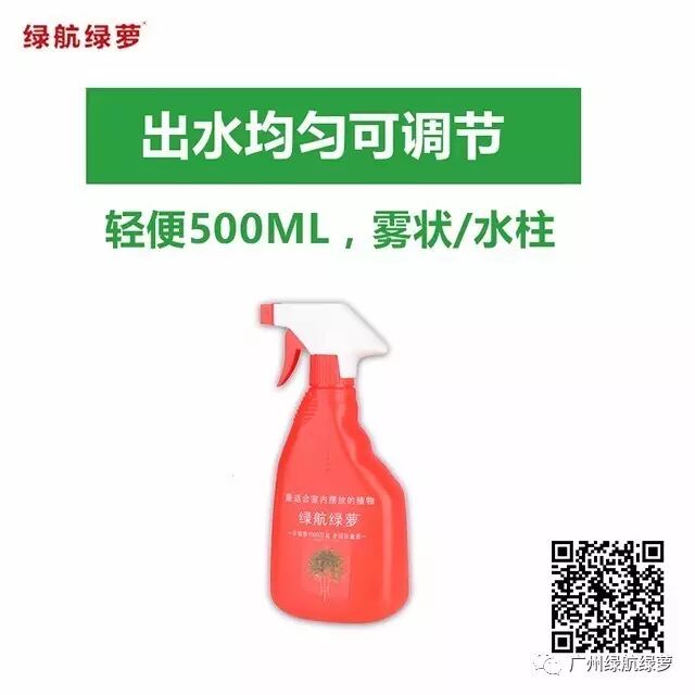 绿航绿萝浇水方式_绿航绿萝浇水技巧_绿萝浇水频率