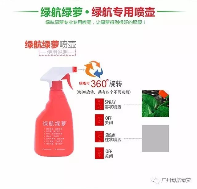 绿萝浇水频率_绿航绿萝浇水方式_绿航绿萝浇水技巧