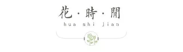 富贵竹水培大全,千万不要错过! | 星尘资源网