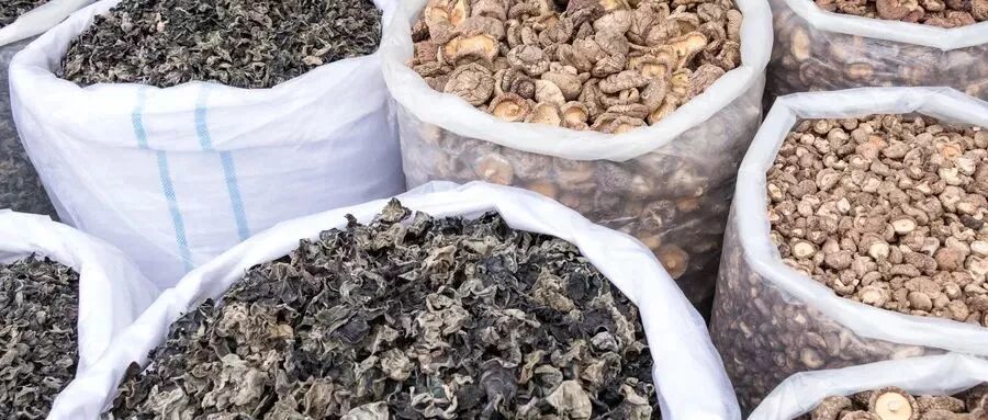 木耳泡发禁忌_米酵菌酸毒素中毒 预防措施 黑木耳食品安全