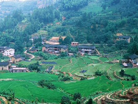 桂圆干挑选方法_黑土妈妈桂圆干 莆田桂圆干 蒸汽烘干桂圆