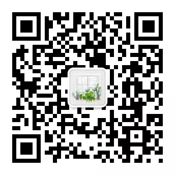 文竹养护要点_文竹养护技巧_文竹烂根黄叶原因