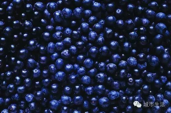 新鲜蓝莓怎么保存?蓝莓汁怎么洗掉? | 星尘资源网