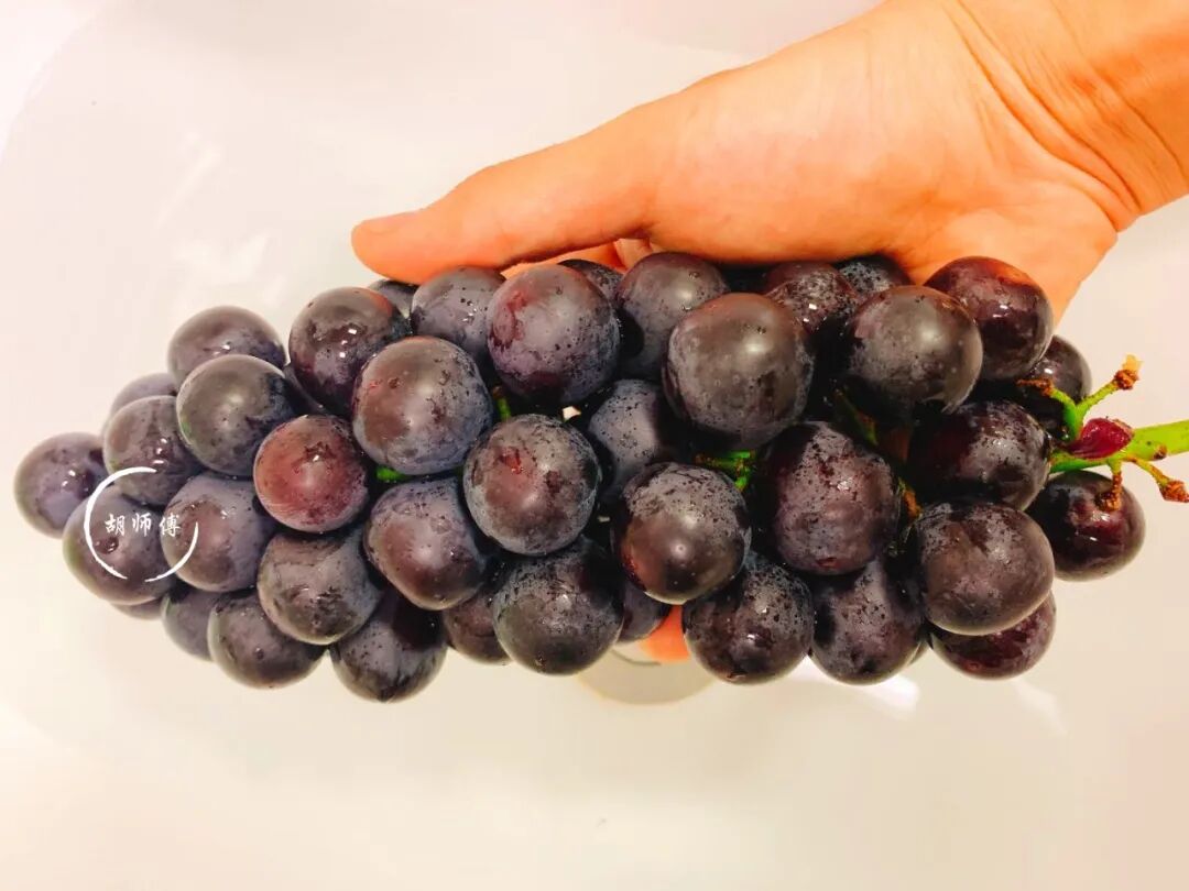 去除葡萄虫卵妙招_葡萄清洗方法_洗葡萄不用盐水用食用碱淀粉