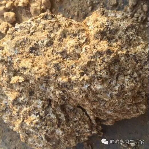 椰糠珍珠岩配土方案_多肉配土教程_多肉配土配方