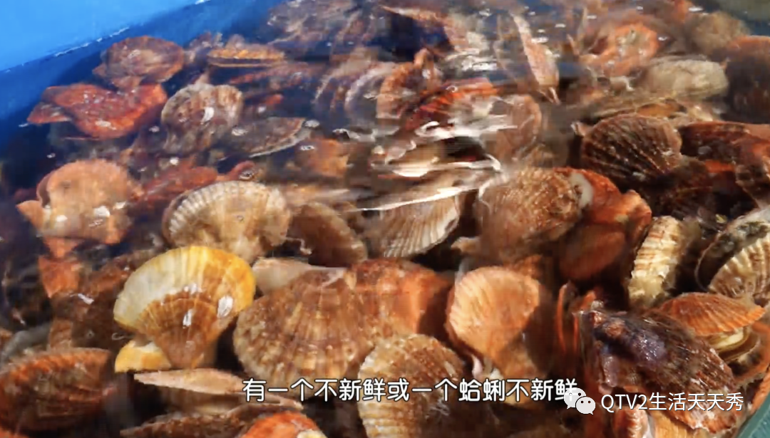 青岛海鲜大排档_青岛海鲜美食_大名哥海鲜