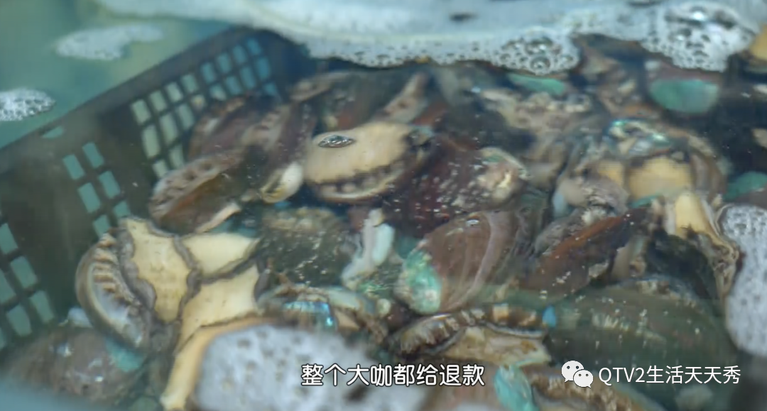 青岛海鲜大排档_青岛海鲜美食_大名哥海鲜