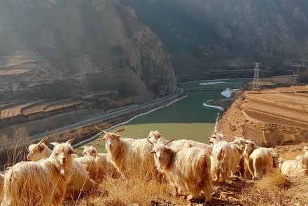 免费进入猪驮山丹霞的土路指南_永登猪驮山丹霞攻略_张掖丹霞门票
