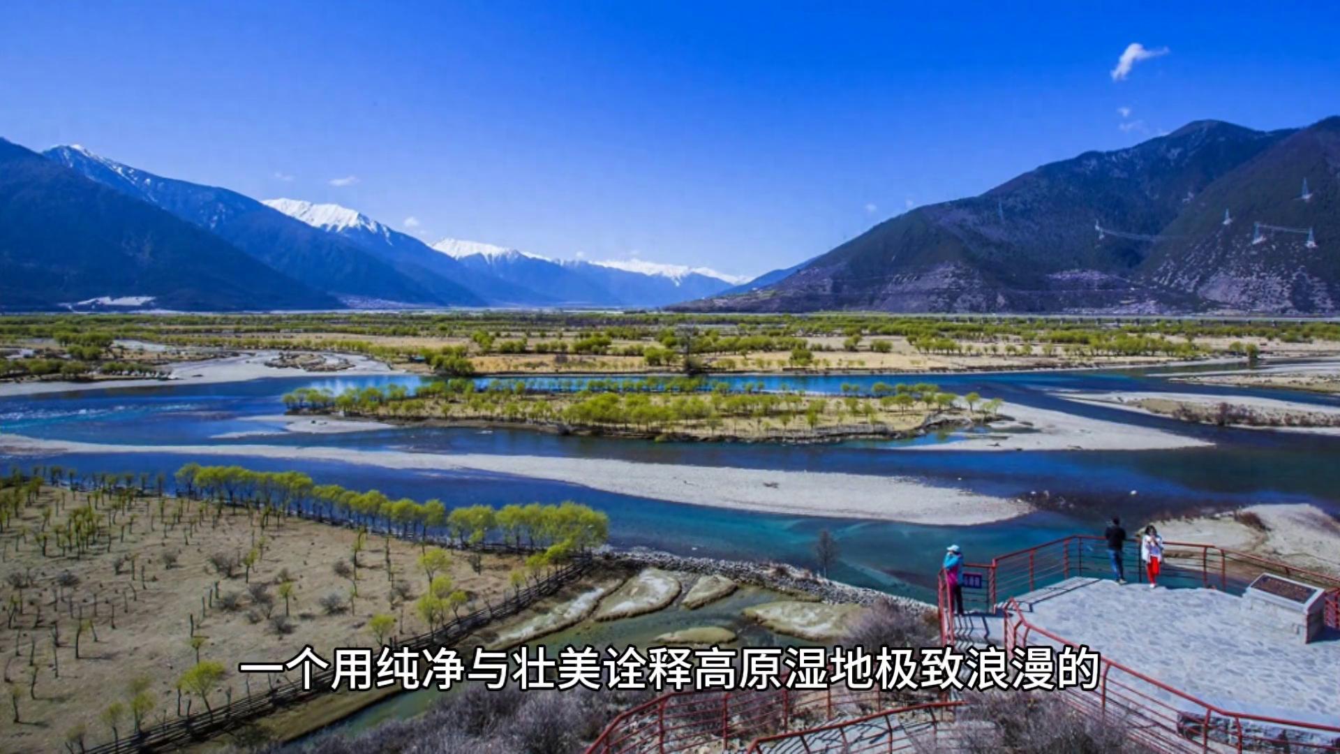 林芝雅尼湿地公园:藏地秘境,高原明珠 | 星尘资源网