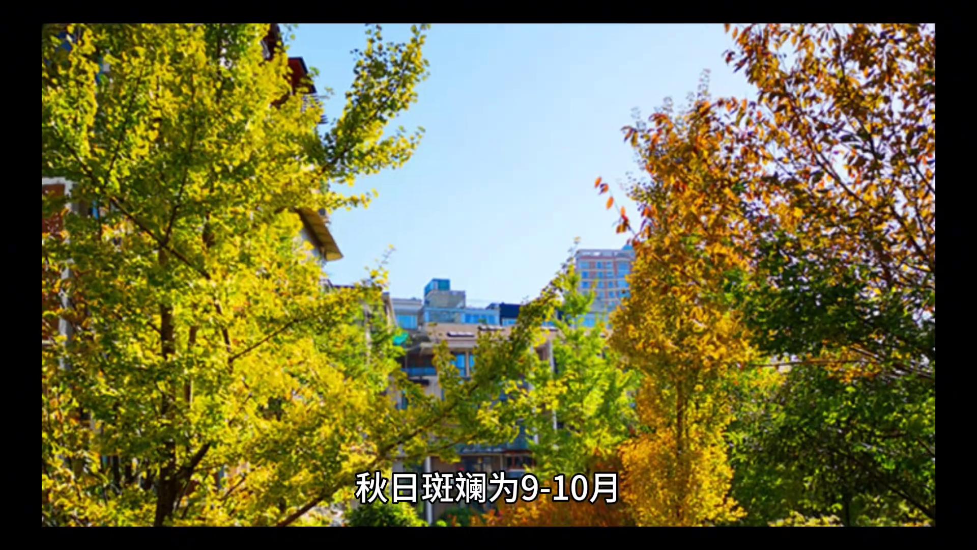 西藏林芝景点_西藏林芝雅尼湿地公园_雅尼国家湿地公园