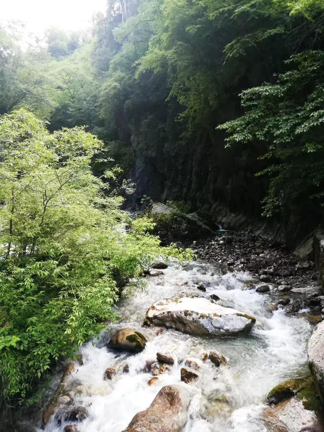 甘肃肃南攻略_甘肃则岔石林壁画_兰州黄河三峡自驾游