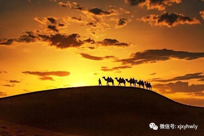 (天天发团)新疆南北疆长线旅游线路合集 | 星尘资源网