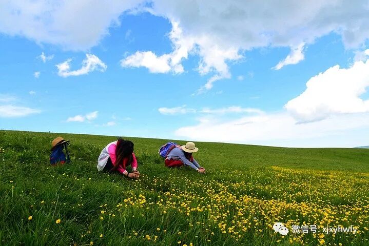 吐鲁番六景点鄯善库木塔格沙漠动车二日游_喀纳斯禾木可可托海旅游大巴四日游_新疆北疆旅行