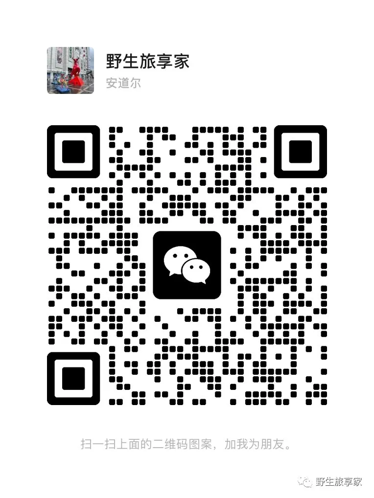 机票低价预订_预定便宜机票携程_携程APP查询特价机票