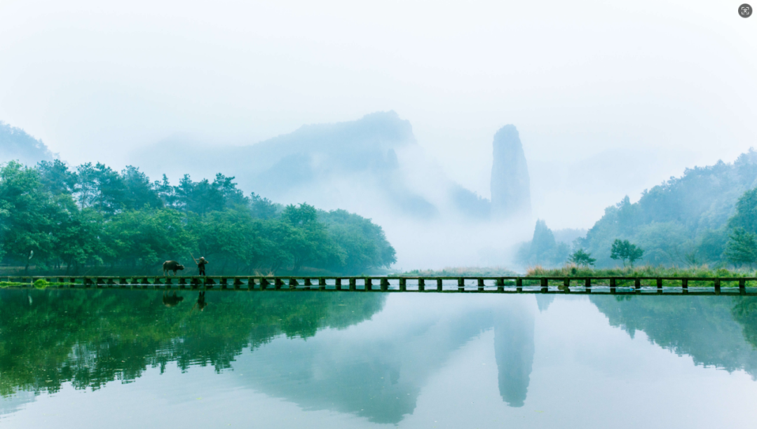 【上海周末一日游】江浙沪小众旅行地,人少景美,森林氧吧+治愈,打工人恢复元气的好地方! | 星尘资源网