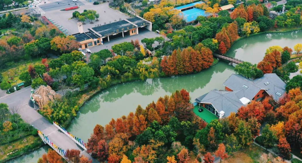 冷门旅游地_上海周边古村落攻略_周末小众旅行地推荐