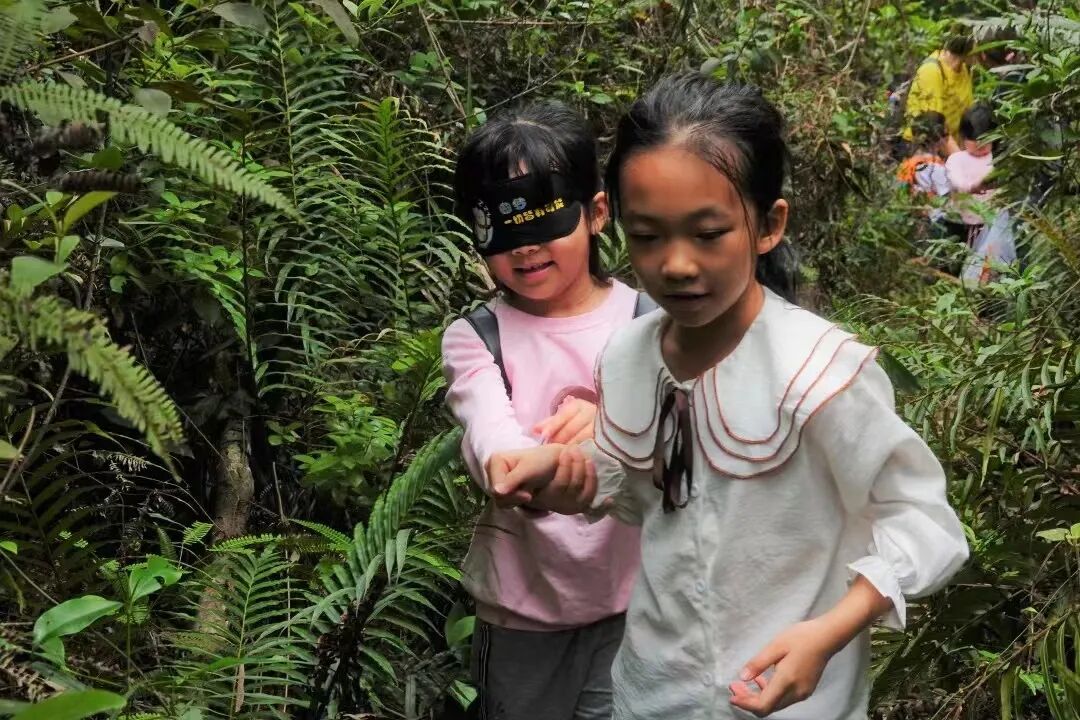 自然教育_森林徒步装备_儿童自然缺失症