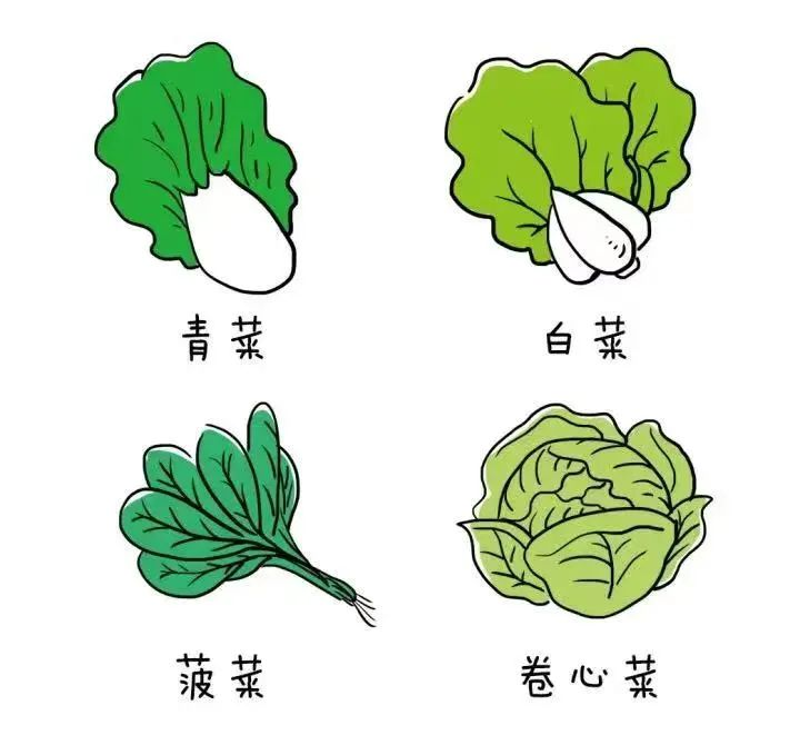 糖尿病饮食指南_控糖食物清单_控糖饮食原则
