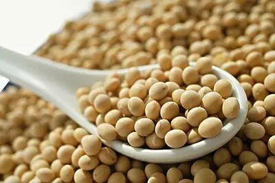 控糖食物清单_理想降糖食物推荐_糖尿病控糖食物表