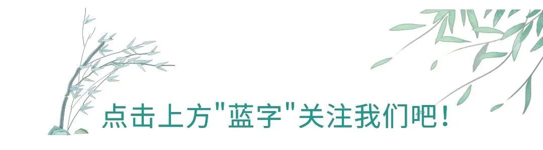 多样饮食补充矿物质,身体状态自然好 | 星尘资源网