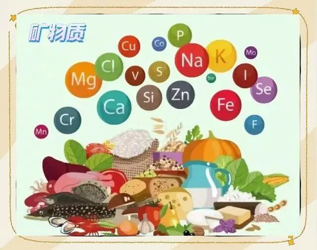 矿物质补充剂_矿物质食物来源_抗氧化剂食物来源