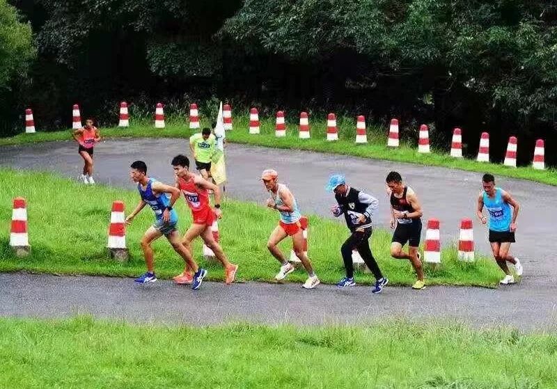 森林徒步大赛报名截止_哈尔滨市第一医院志愿者培训_森林徒步装备