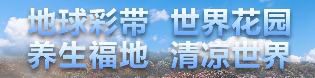 【特别推荐】百里杜鹃温泉获评金汤级温泉度假地 | 星尘资源网