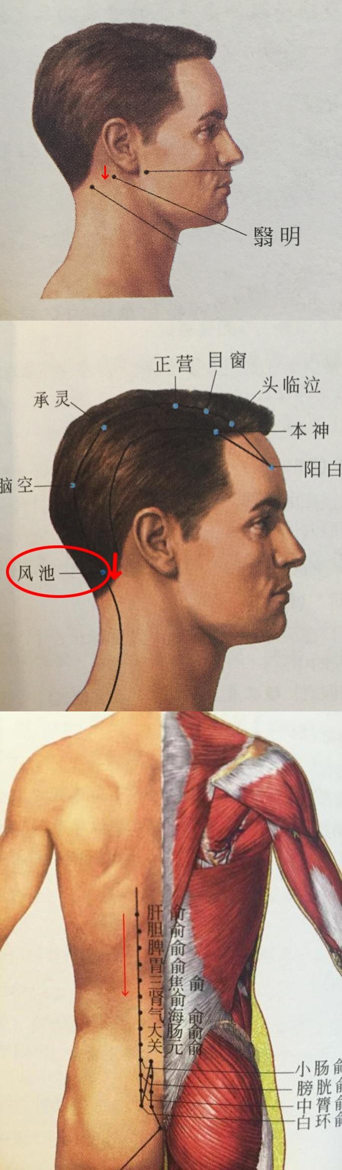 刮痧方法教程_近视刮痧方法_青少年近视率统计