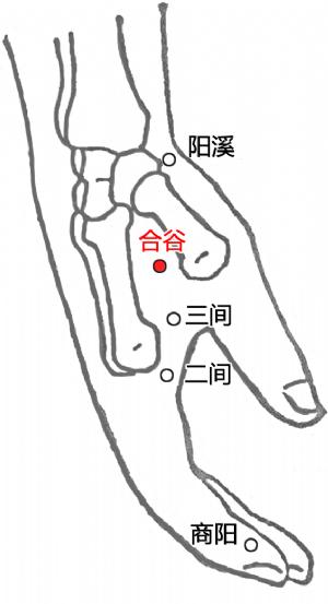 青少年近视率统计_刮痧方法教程_近视刮痧方法