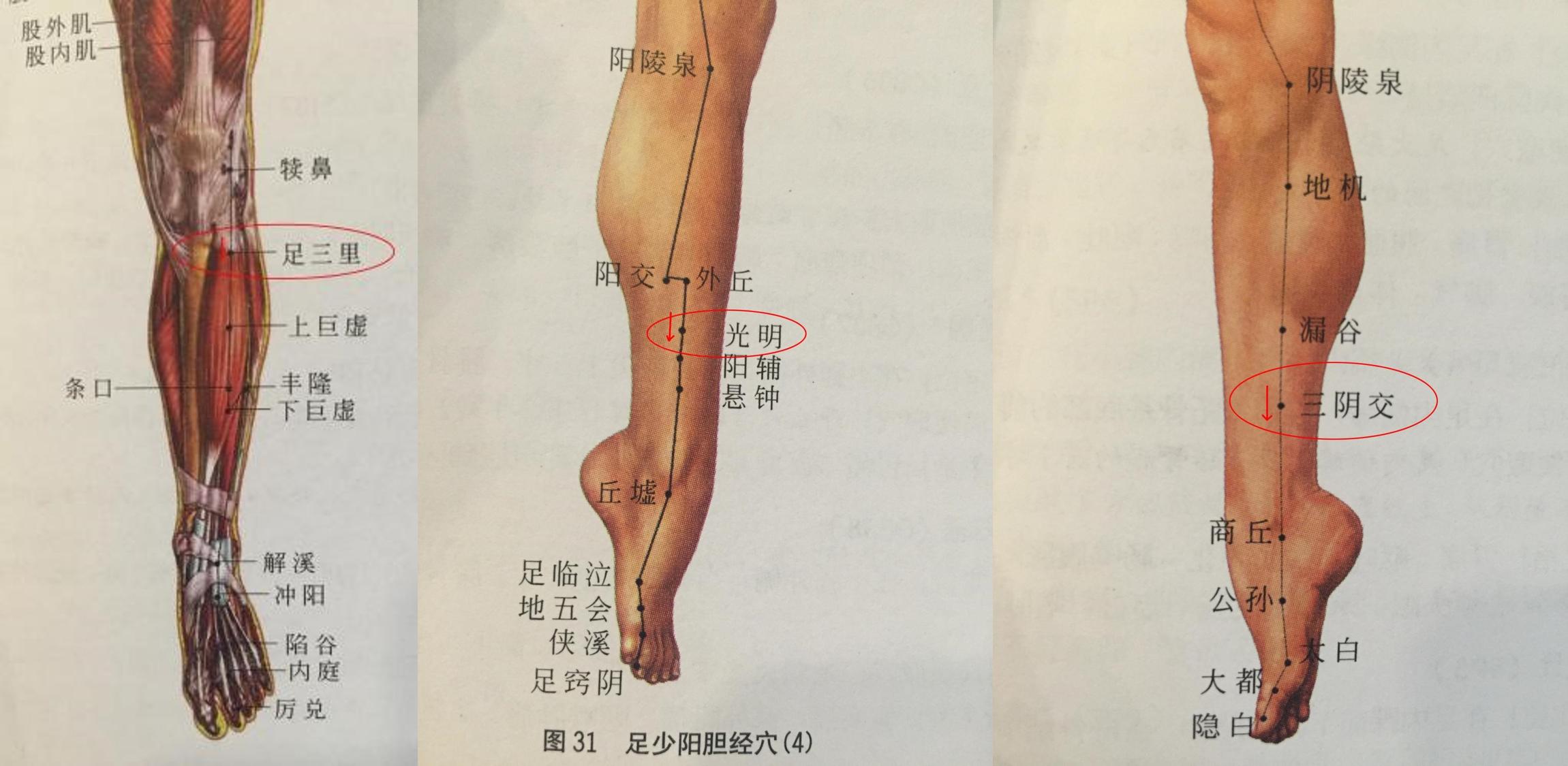 近视刮痧方法_刮痧方法教程_青少年近视率统计