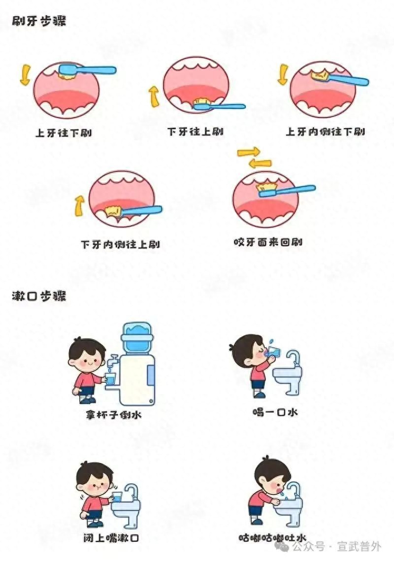 口腔健康很重要,正确护理是关键 | 星尘资源网
