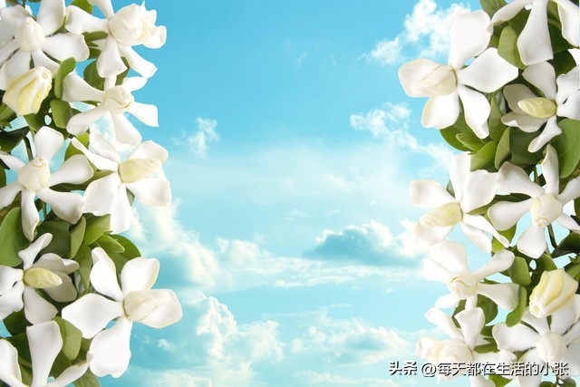 和同事相处,需要牢记哪些忠告? | 星尘资源网