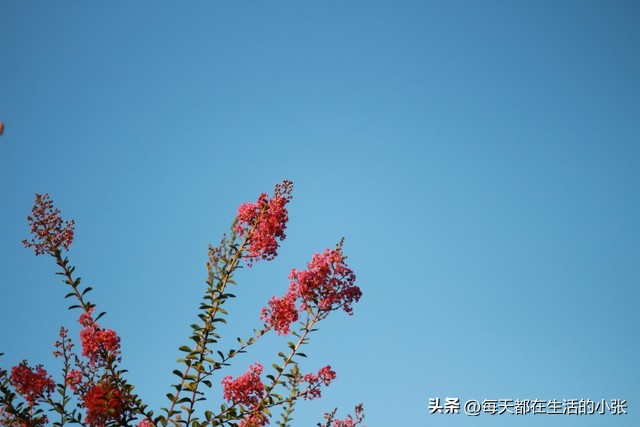 职场人际关系处理_和同事相处技巧_同事关系处理