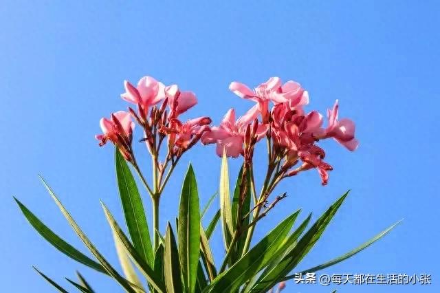 和同事相处技巧_职场人际关系处理_同事关系处理
