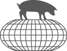 虚拟李曼养猪大会有望为在线会议树立新标准 | 星尘资源网