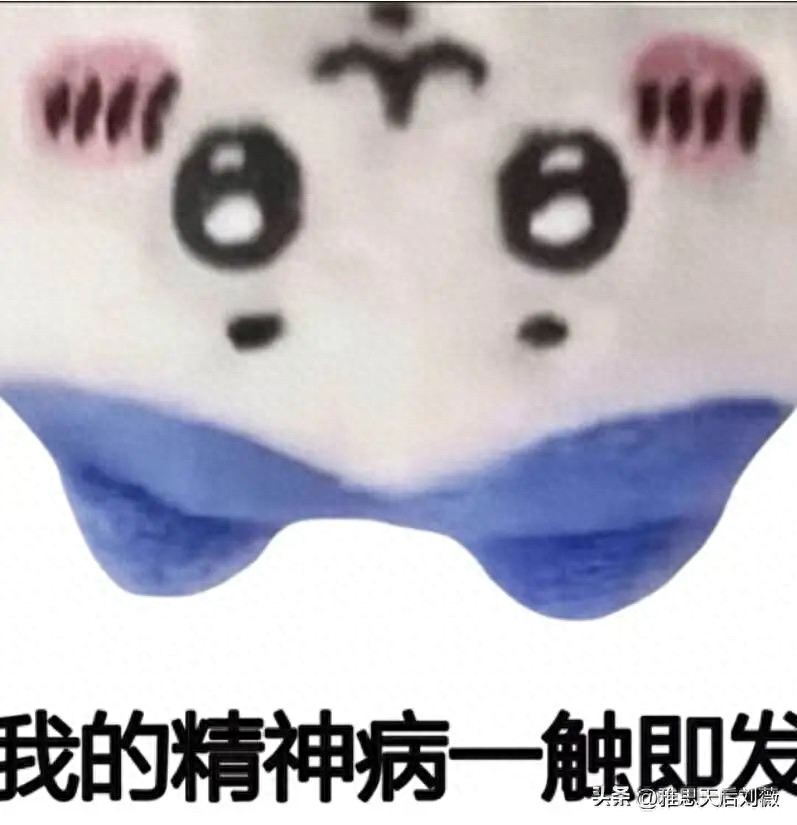 “留学哪有不疯的,不过硬撑罢了”各国留学生图鉴 | 星尘资源网